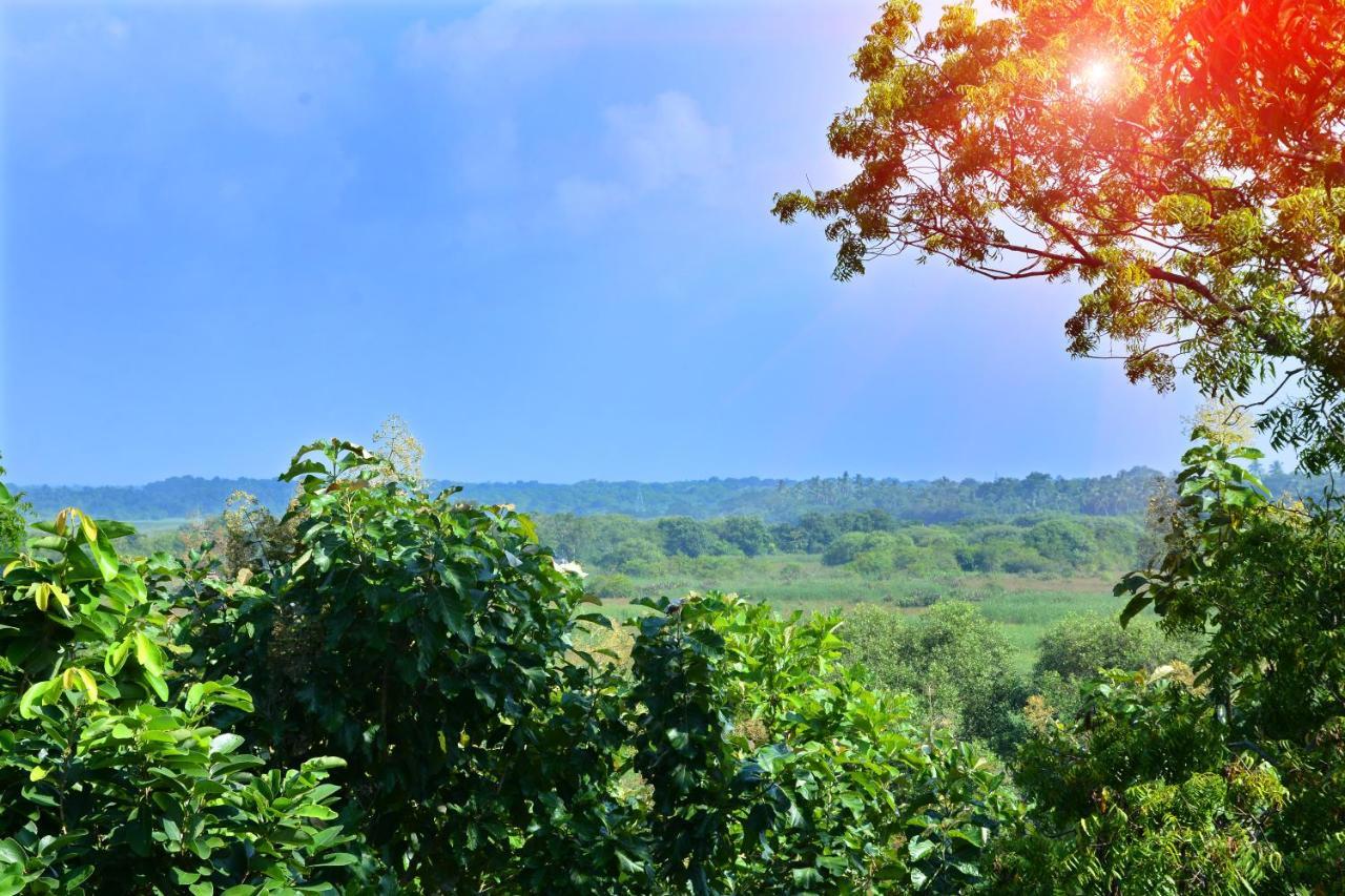 Randu Homestay And Restaurant Tangalle Eksteriør billede