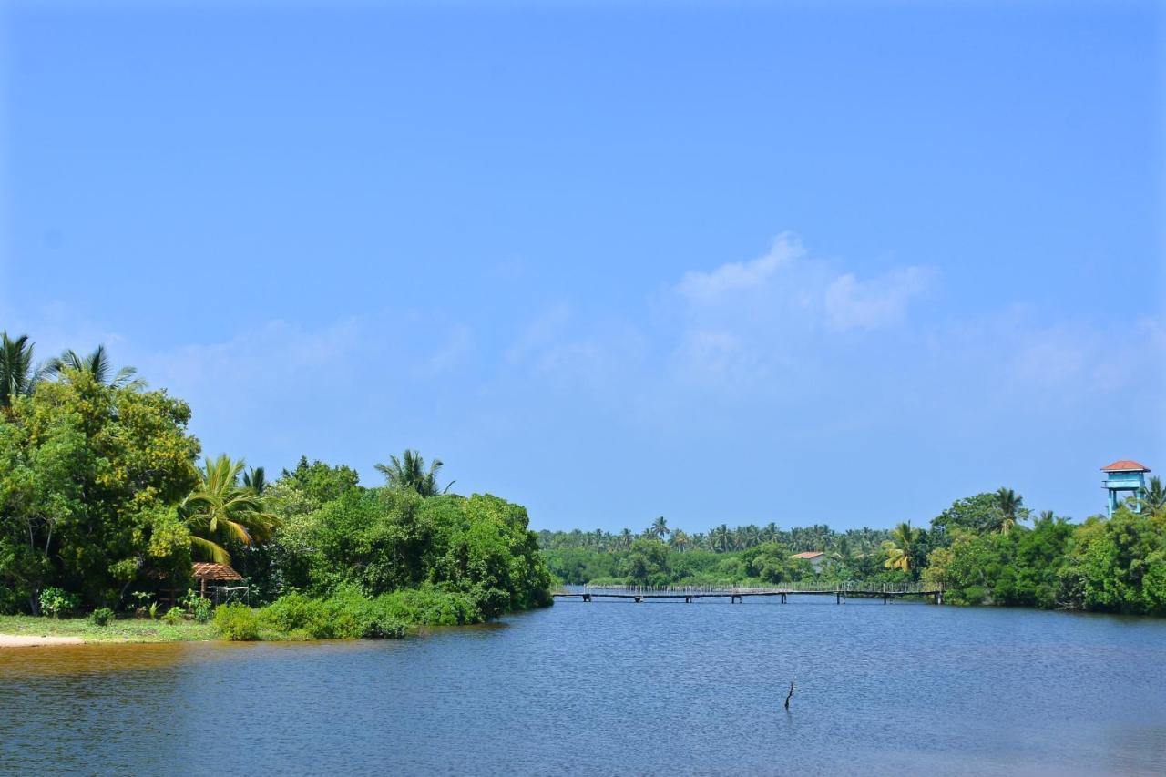 Randu Homestay And Restaurant Tangalle Eksteriør billede