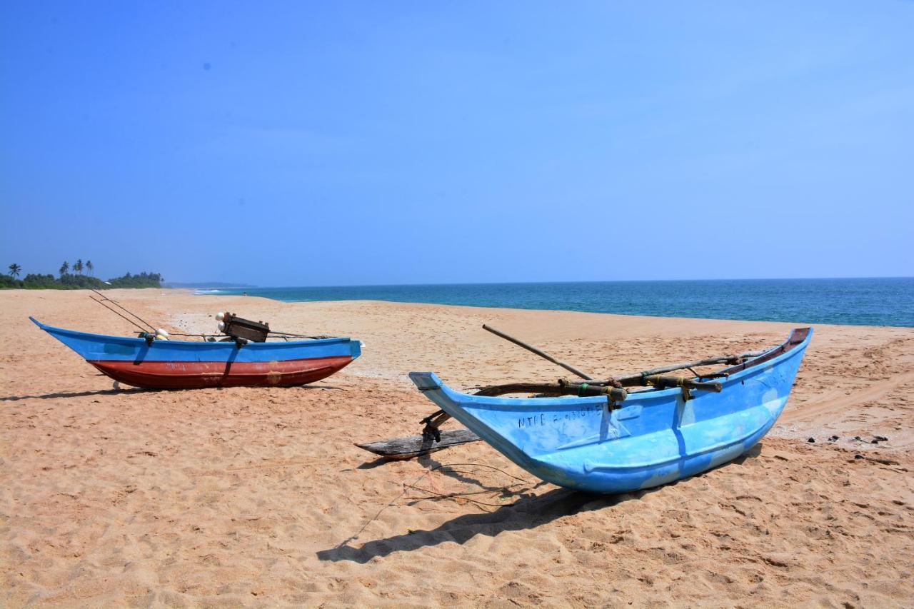 Randu Homestay And Restaurant Tangalle Eksteriør billede